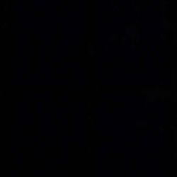 cover art for The Live D Nasty 