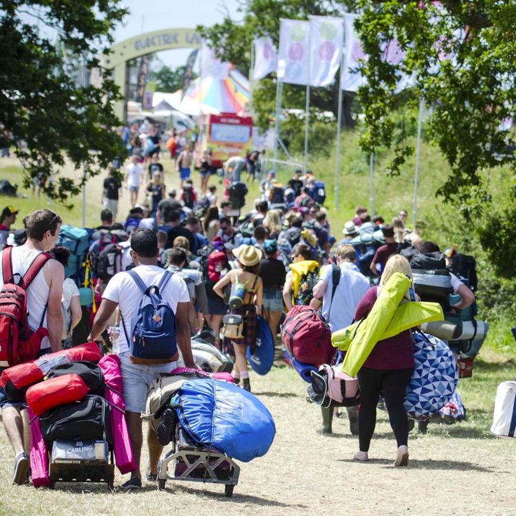 cover art for Festival tips