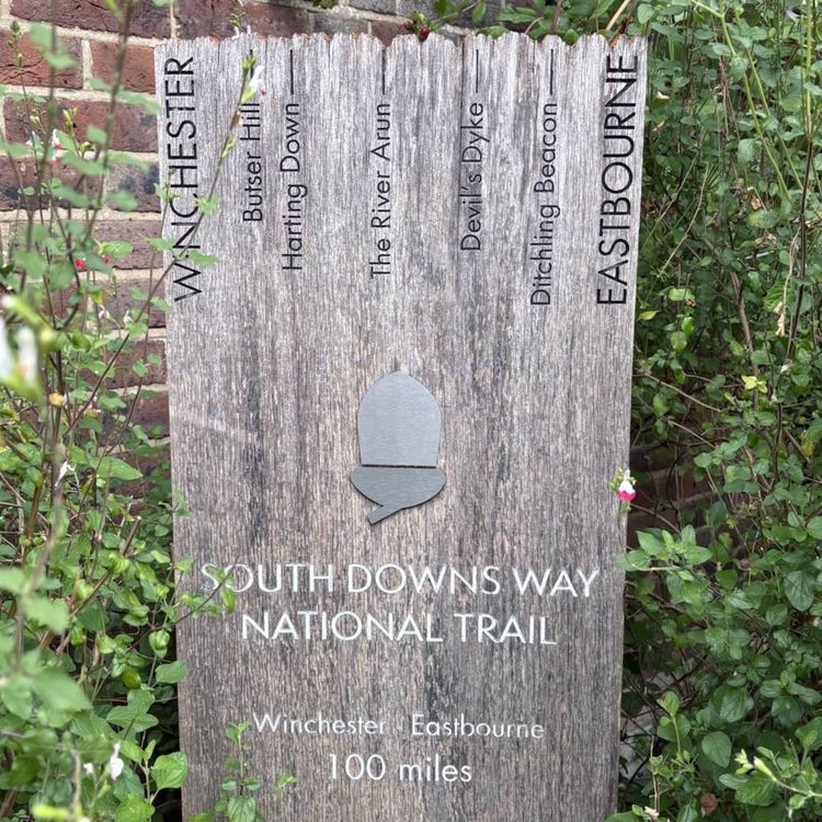 cover art for The wild idea, overconfidence, and the reality check