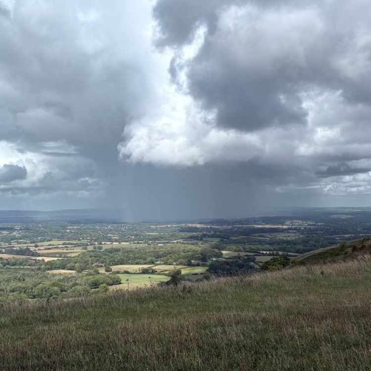 cover art for The physical and mental grind