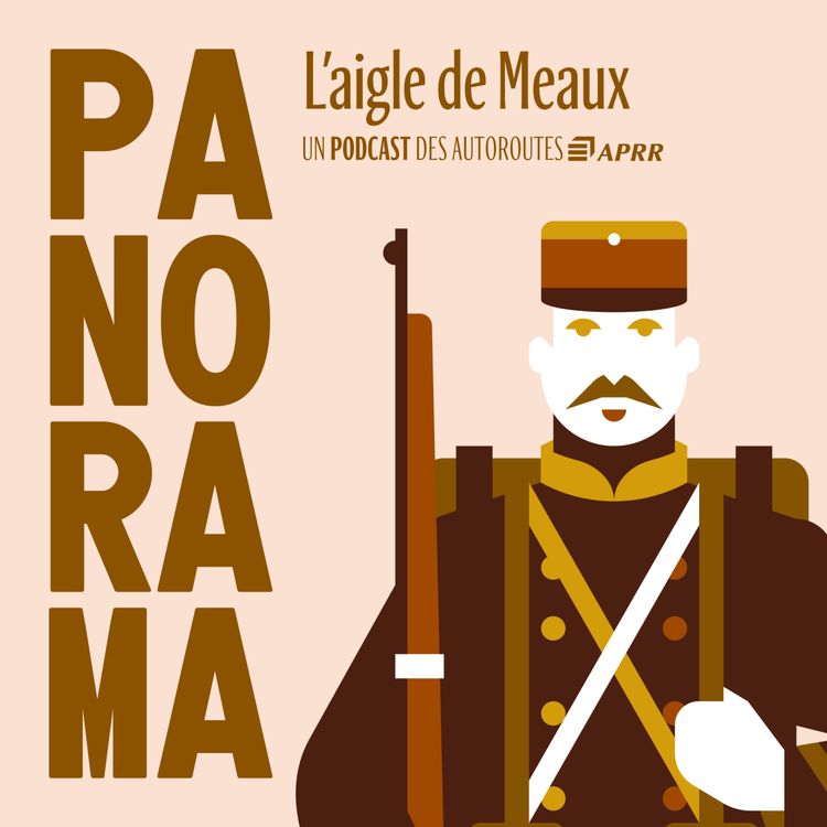 cover art for L'aigle de Meaux