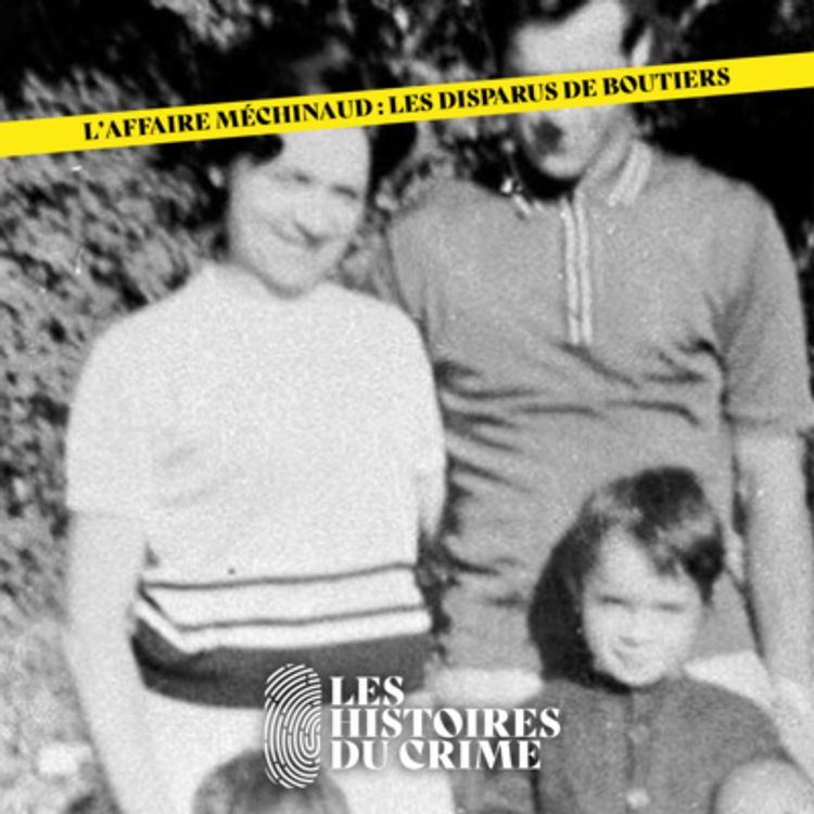 cover art for L'Affaire Méchinaud : les disparus de Boutiers