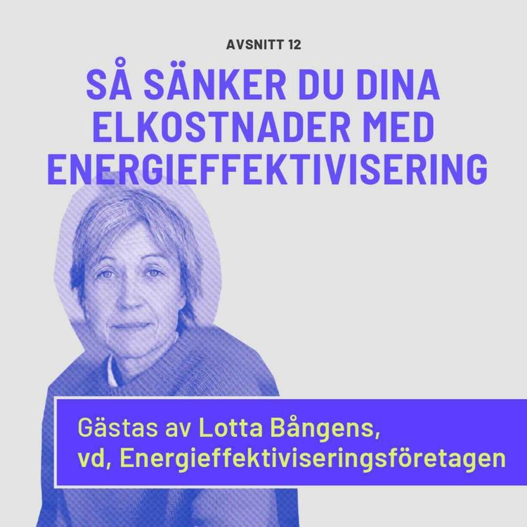 cover art for Så sänker du dina elkostnader med energieffektivisering