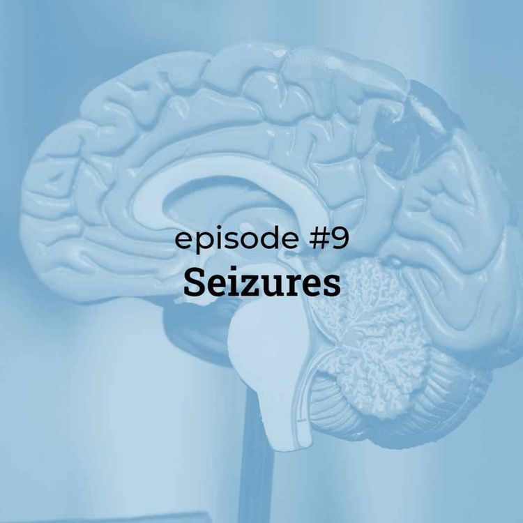 cover art for #9 Seizures