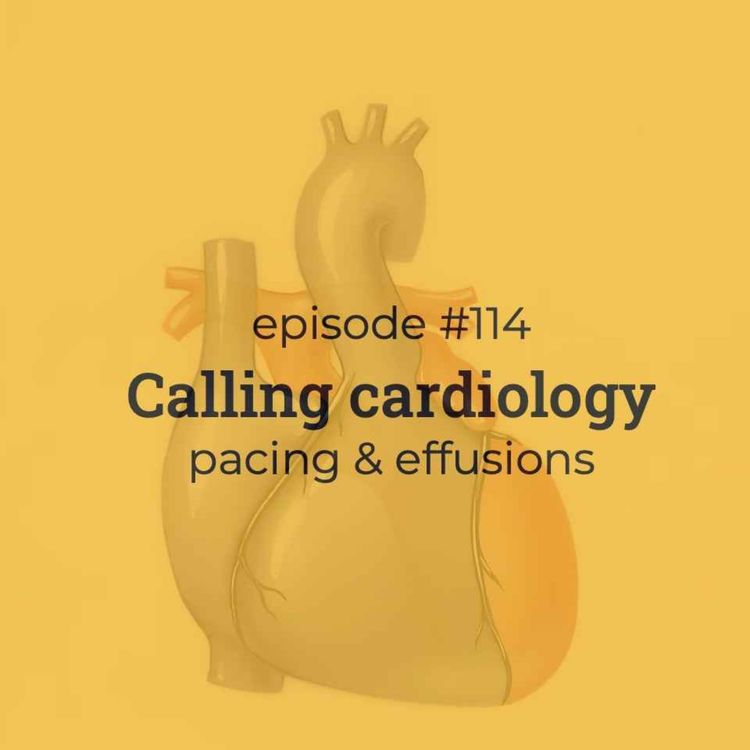 cover art for #114 BAMR: Calling Cardiology (Pacing & effusions)