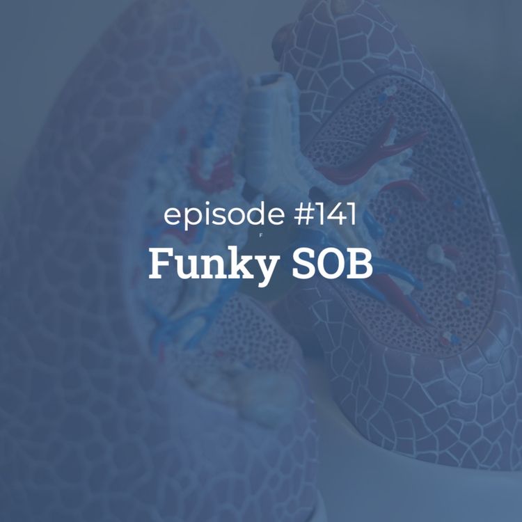 cover art for #141 Funky SOB