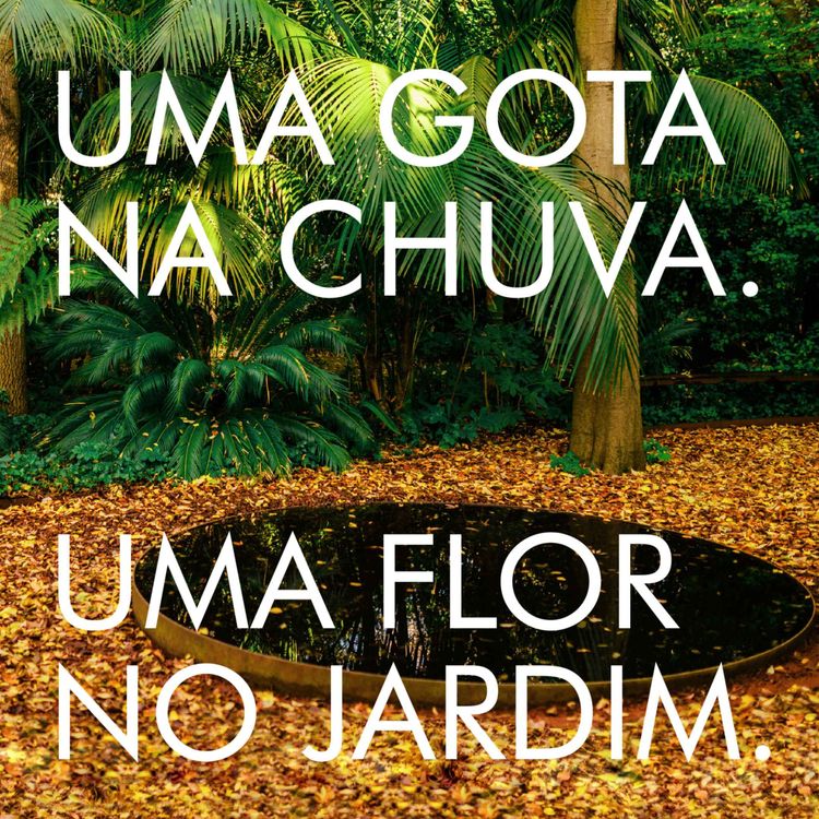 cover art for O Jardim musical de Pedro Carneiro