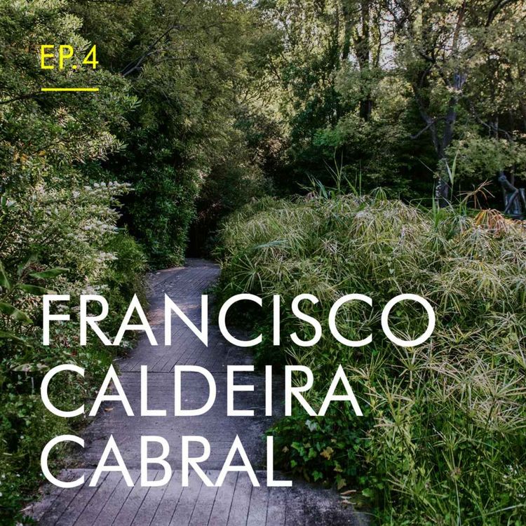 cover art for O jardim de Ribeiro Telles por Francisco Caldeira Cabral