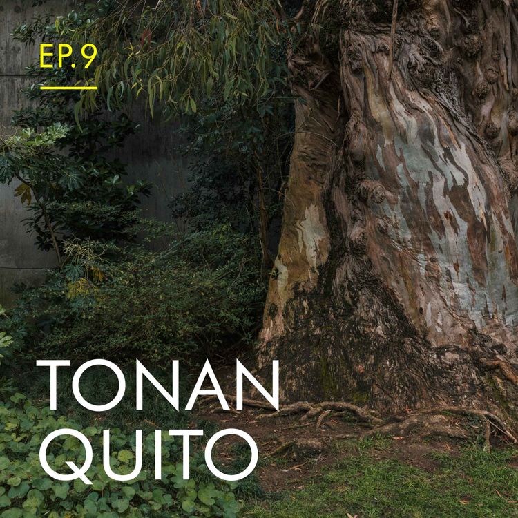 cover art for Tonan Quito vê Shakespeare no Jardim Gulbenkian