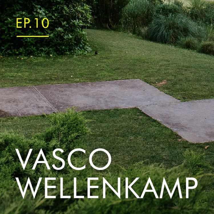 cover art for A dança antes do Jardim de Vasco Wellenkamp