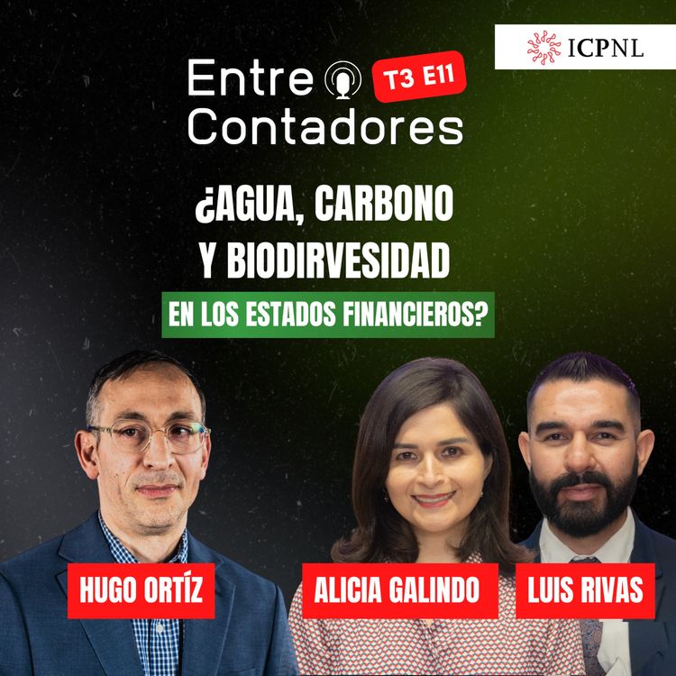 cover art for ¿Agua, Carbono y Biodiversidad en los Estados Financieros?