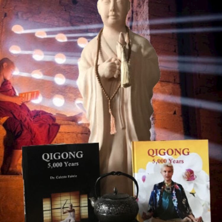 cover art for Let’s Talk Qigong (German)