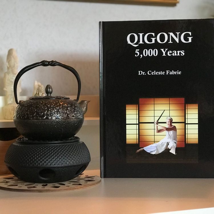 cover art for Let's Talk Qigong