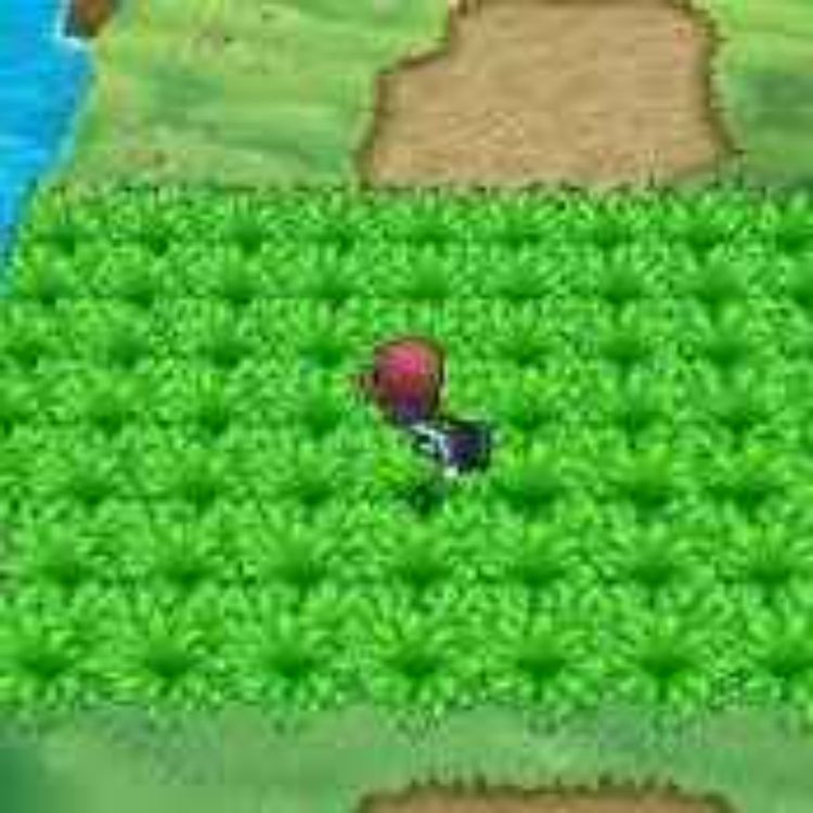 cover art for No more Tall Grass Encounters & annoying AI Trainers? 