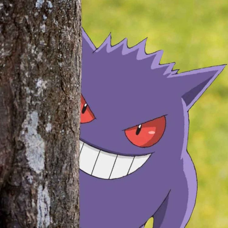 cover art for Mindys Trade Trick, TCG Values and Nuzlocke's