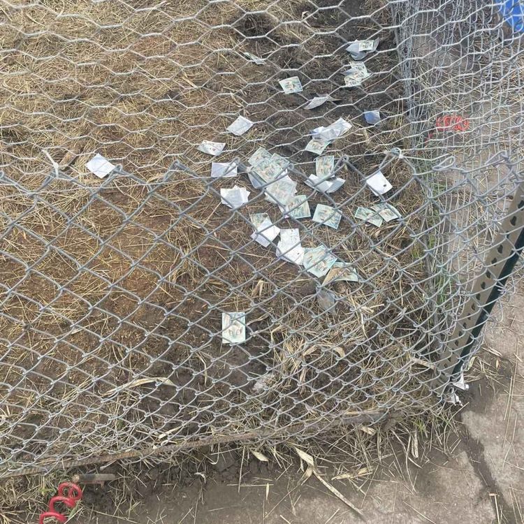 cover art for FedEx gave a package to some hungry animals