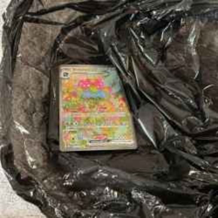 cover art for TCG Shipping Horror Stories