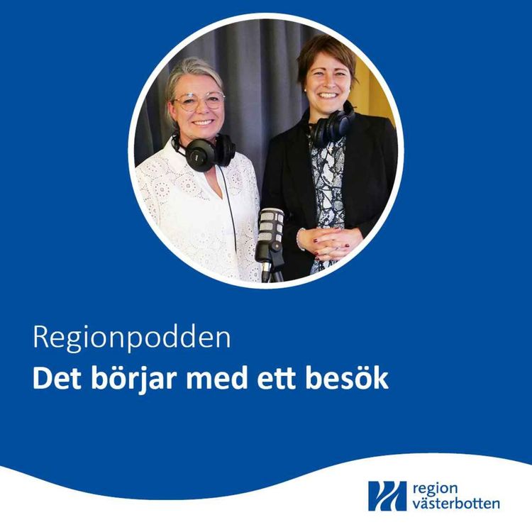 cover art for Det börjar med ett besök