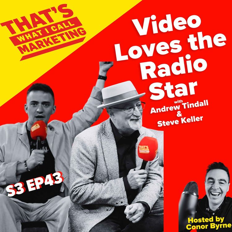 cover art for S3 Ep43: Video LOVES The Radio Star