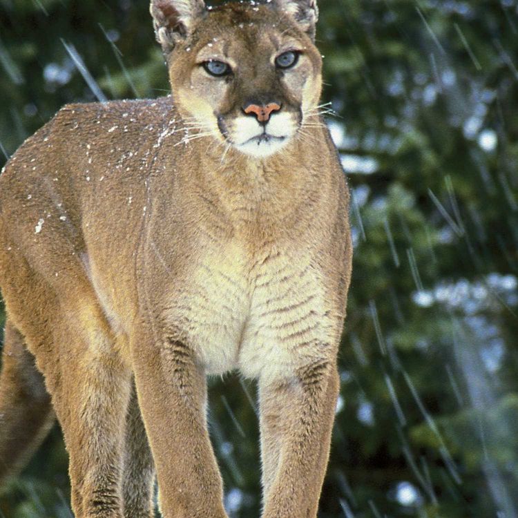 cover art for Prisoner Vacations & Money Schemes