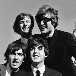 cover art for Apple Scruffs