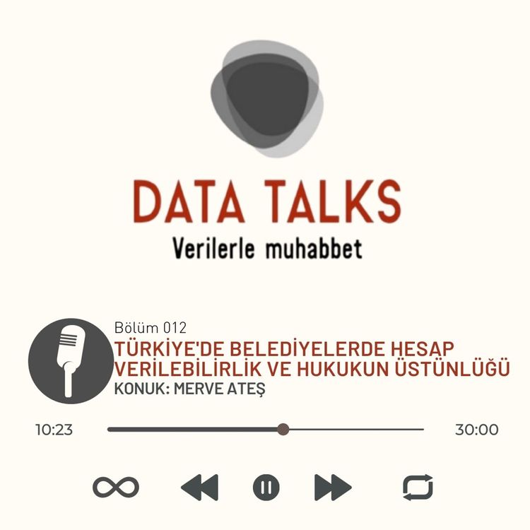 cover art for Bölüm 012: Türkiye'de Belediyelerde Hesap Verilebilirlik ve Hukukun Üstünlüğü