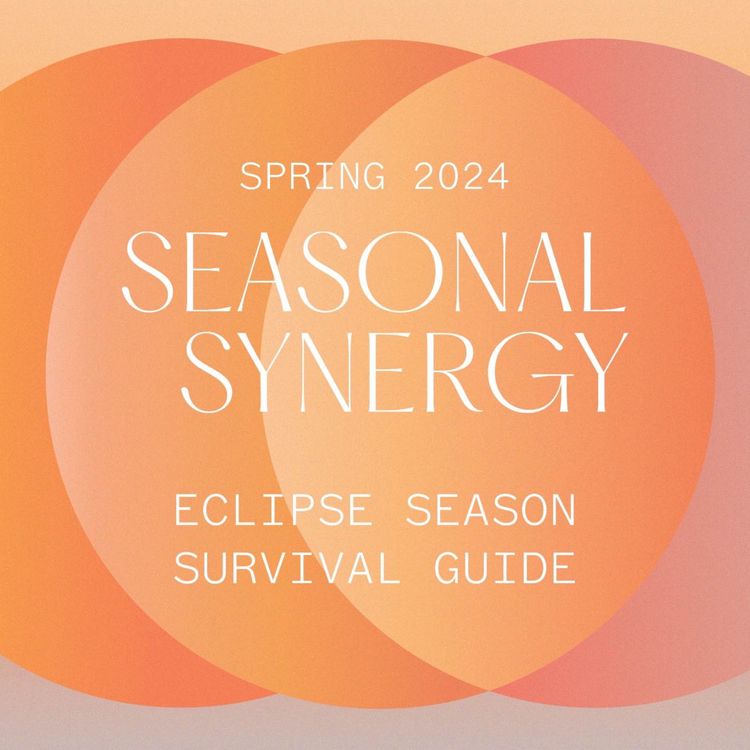 cover art for Seasonal Synergy V2