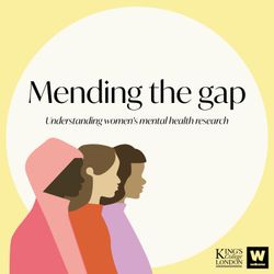 cover art for Mending The Gap