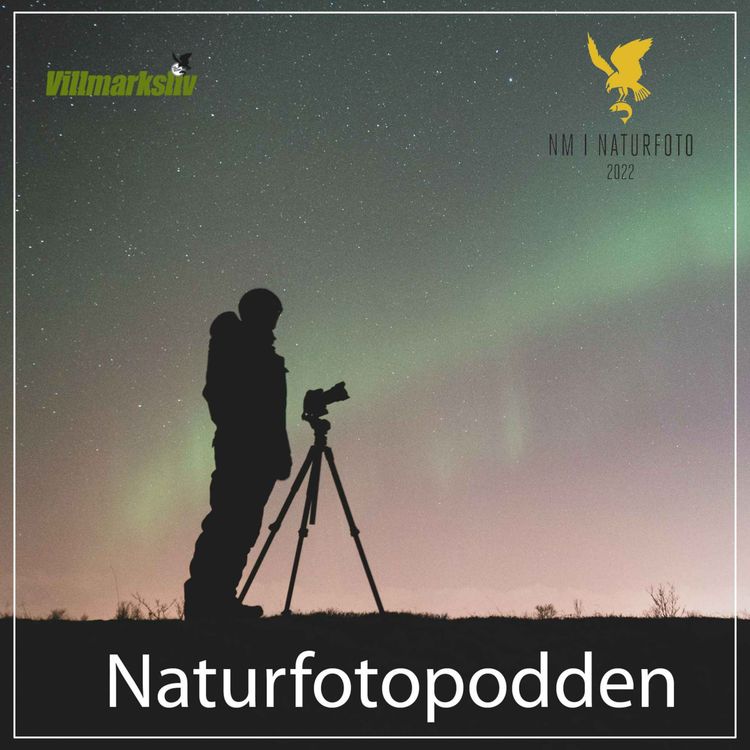 cover art for Fjellfoto med Ole Thøring