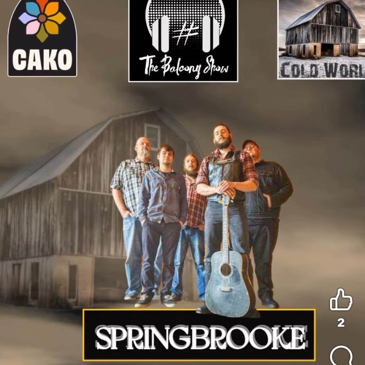 cover art for Springbrooke 