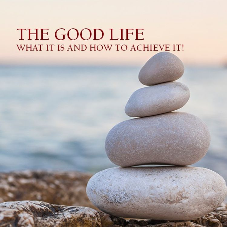 cover art for The Problem with "You Should Know Better"