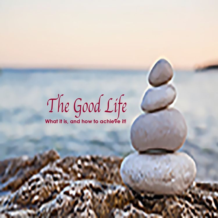 cover art for Daily Wisdom The Good Life Protest