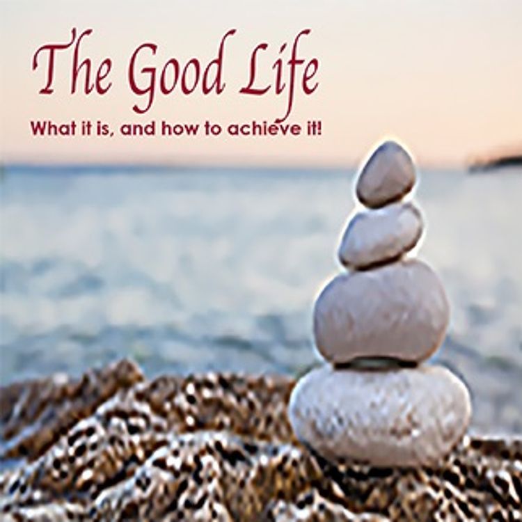 cover art for Daily Wisdom The Good Life Managing Your Mental State