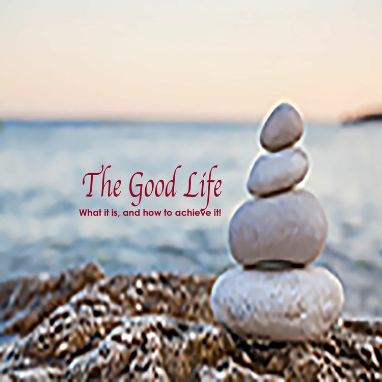 cover art for Daily Wisdom The Good Life VIII - Dealing With Uncertain Times