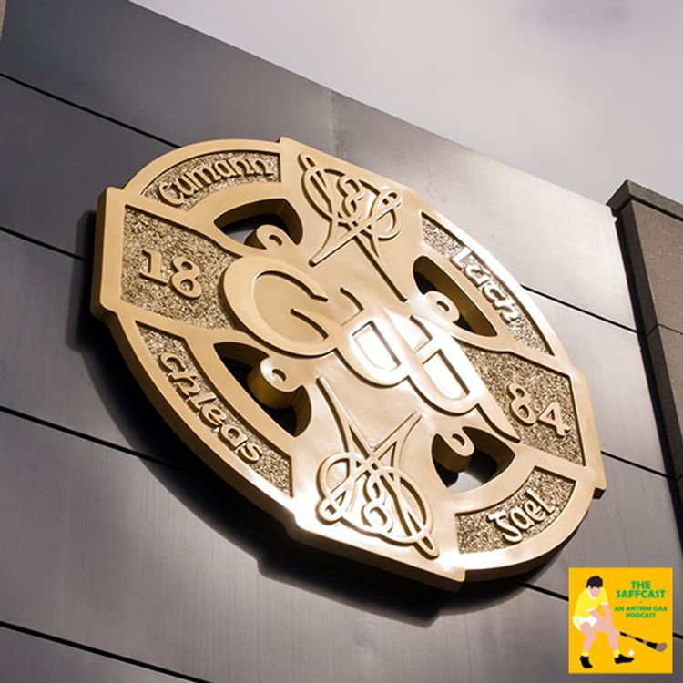 cover art for 21. GAA Congress 2021: New Rules, New Season, New President