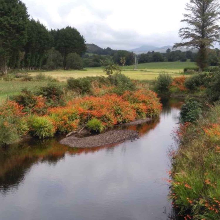 cover art for Only I can fix me