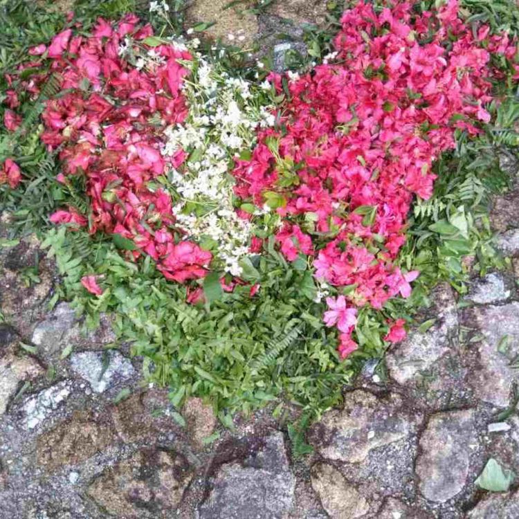 cover art for Messages from nature: Insights, epiphanies & notes, Episode 8