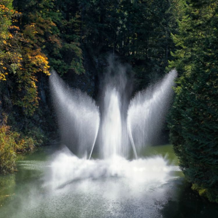 cover art for Born Of Water And The Spirit: