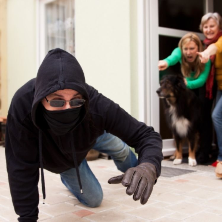 cover art for Resist the devil, and he will flee from you.