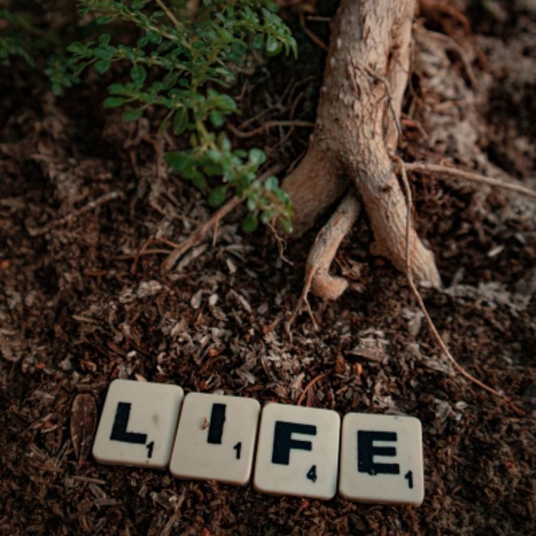 cover art for For The Letter Kills, But The Spirit Gives Life.