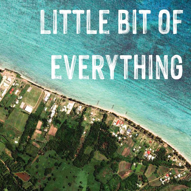 cover art for Trailer: Little Bit of Everything