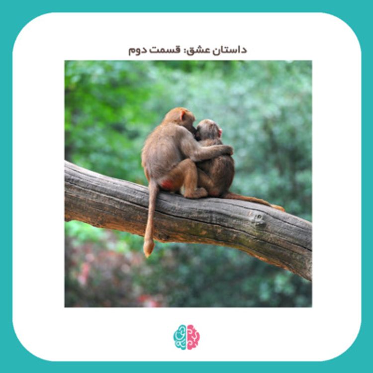 cover art for EP16 Love story | داستان عشق: قسمت دوم، تاریخ عشق، بعد از جدایی چه باید کرد؟