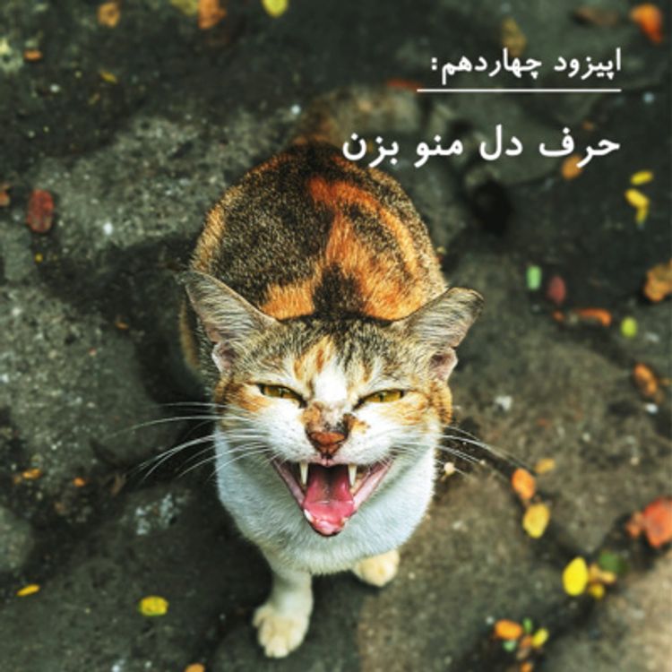 cover art for EP14 Speak my Mind | حرف دل منو بزن: با مجتبی فراهت
