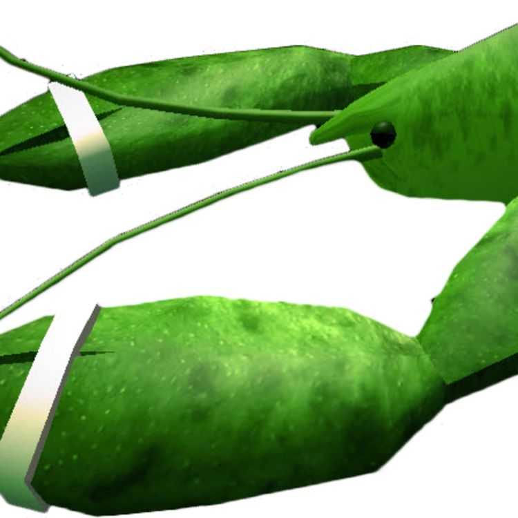 cover art for Season 3 Episode 5: Dead Lobster Pussy