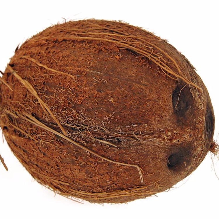 cover art for Season 2 Episode 5: Coconut Cream Pies