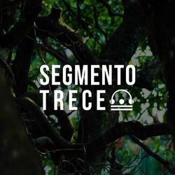 cover art for Segmento Trece