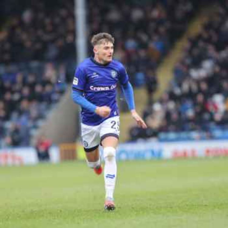 cover art for Episode 94 - Level Heads