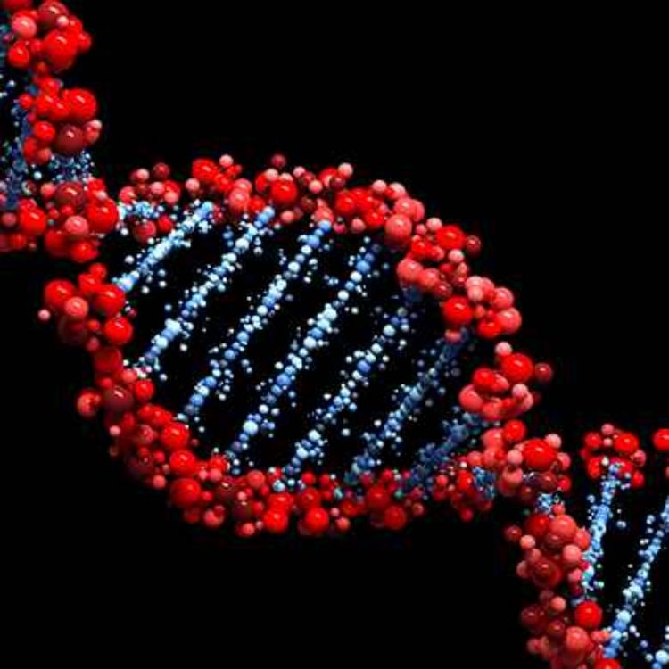 cover art for برگ برنده ای به نام نقص