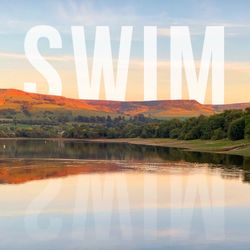 cover art for SWIM a show by Liz Richardson