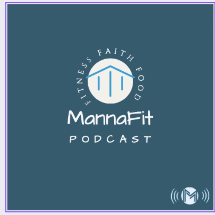 cover art for The Habit of Play